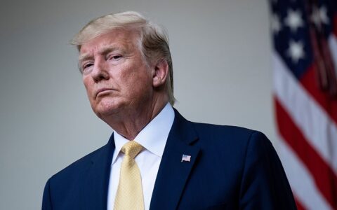 WSJ: 特朗普给予缉枪和缉毒人员驱逐非法移民的权力